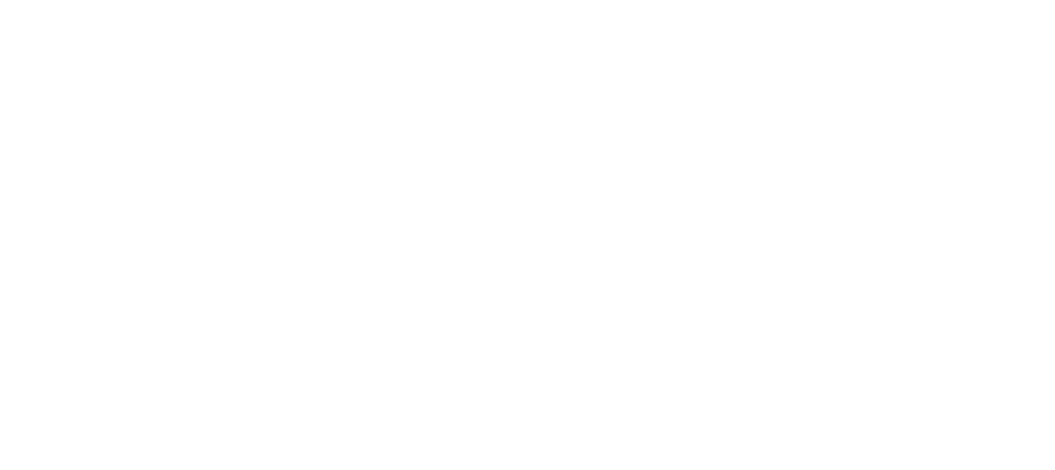 Scoop